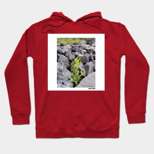 fragment of life ecopop Hoodie